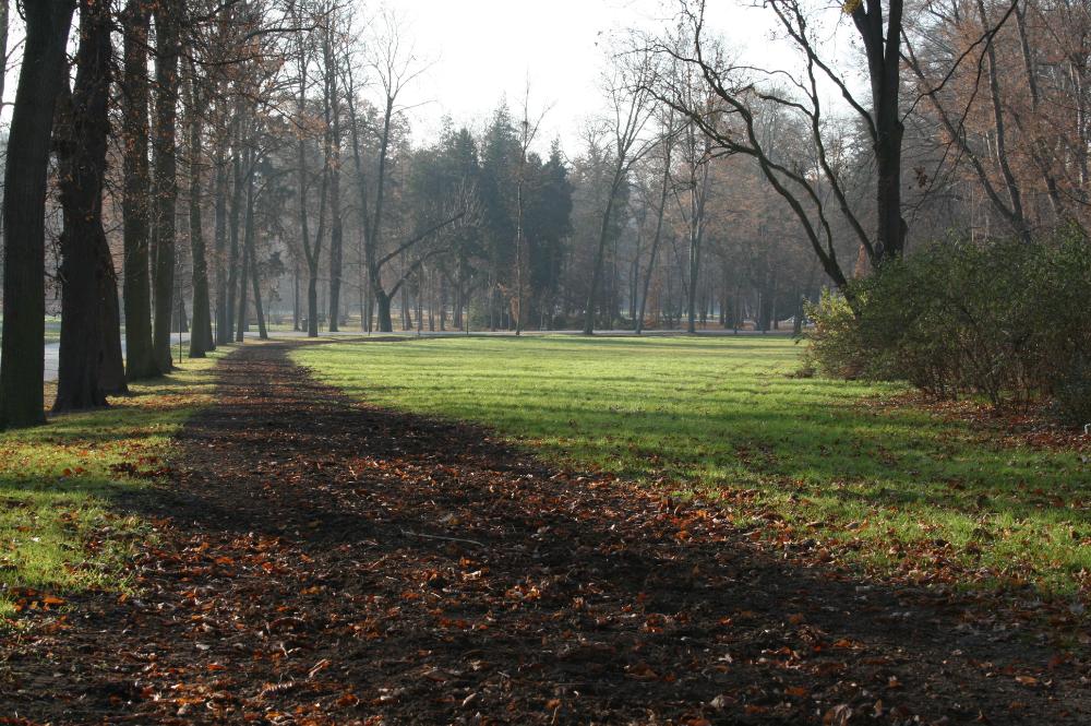 Stromovka, koňská stezka