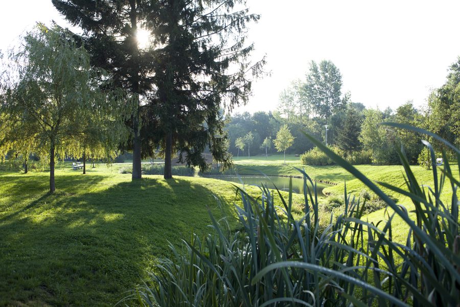 Nový centralní park Praha 19