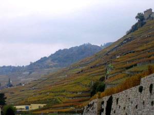 montreux_vinice_unesco_photo_239_jpg