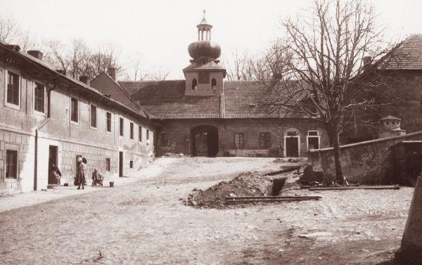 cibulka_1928a_jpg