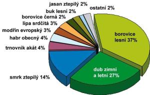 kamyk_zastdrevin_jpg