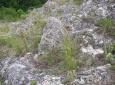 1713971_kavyl_tabule_prokopak_slavik_1_jpg