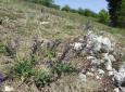 1713983_salvej_hajni_prokopak_tabule_foto_slavik