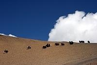 bhutan_hladanie_stastia_200_jpg