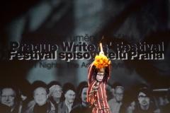 fsp_projekty_copyright_pwf_2009_petr
