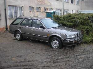 c_15_nisan_bluebird_sipr99_str_jpg