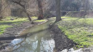 Stromovka_3