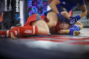 MMA_2016_Kozak_61