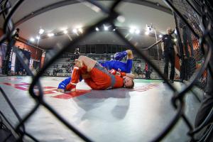 MMA_2016_Kozak_65