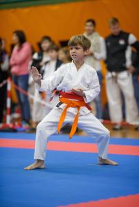 MCR_karate_2016_Kozak_07