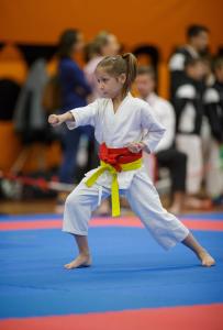 MCR_karate_2016_Kozak_11