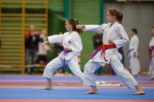 MCR_karate_2016_Kozak_13