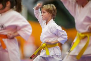 MCR_karate_2016_Kozak_33