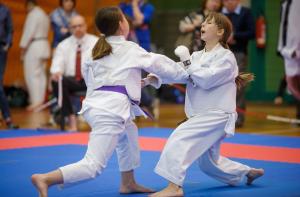 MCR_karate_2016_Kozak_57