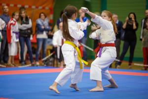 MCR_karate_2016_Kozak_58