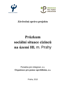 Průzkum socialní situace cizinců