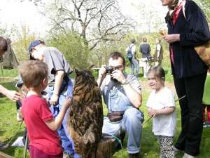 den země v toulcově dvoře, 2003