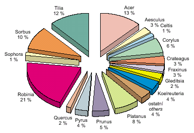 procentuální zastoupení rodů nově vysazovaných stromů