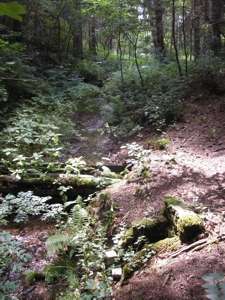 Pražské  studánky - Dolní Štěpánka - fotogalerie