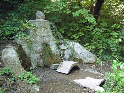 studánka na lázeňském potoce