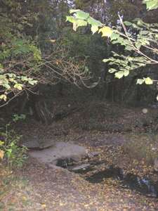 Pražské studánky - Prdlavá - fotogalerie