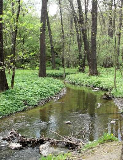 meandrující šárecký potok