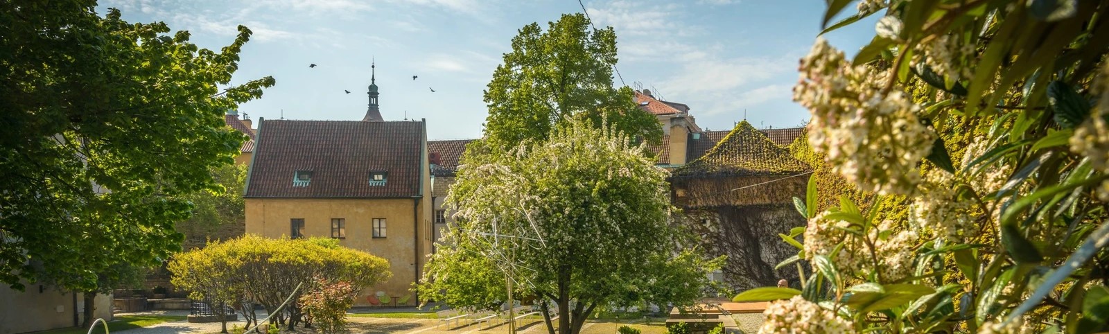 Anežský klášter