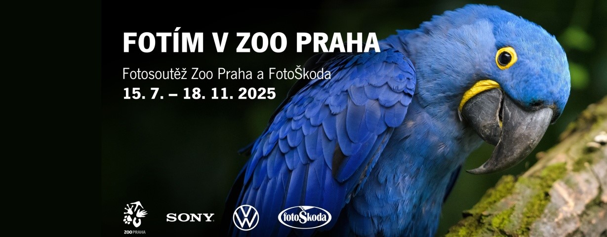 Vizuál soutěže Fotím v Zoo Praha